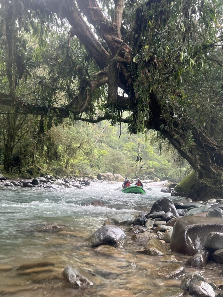 A green raft runs a shallow, rocky stretch of the Pejivalle River beneath a huge moss-draped tree