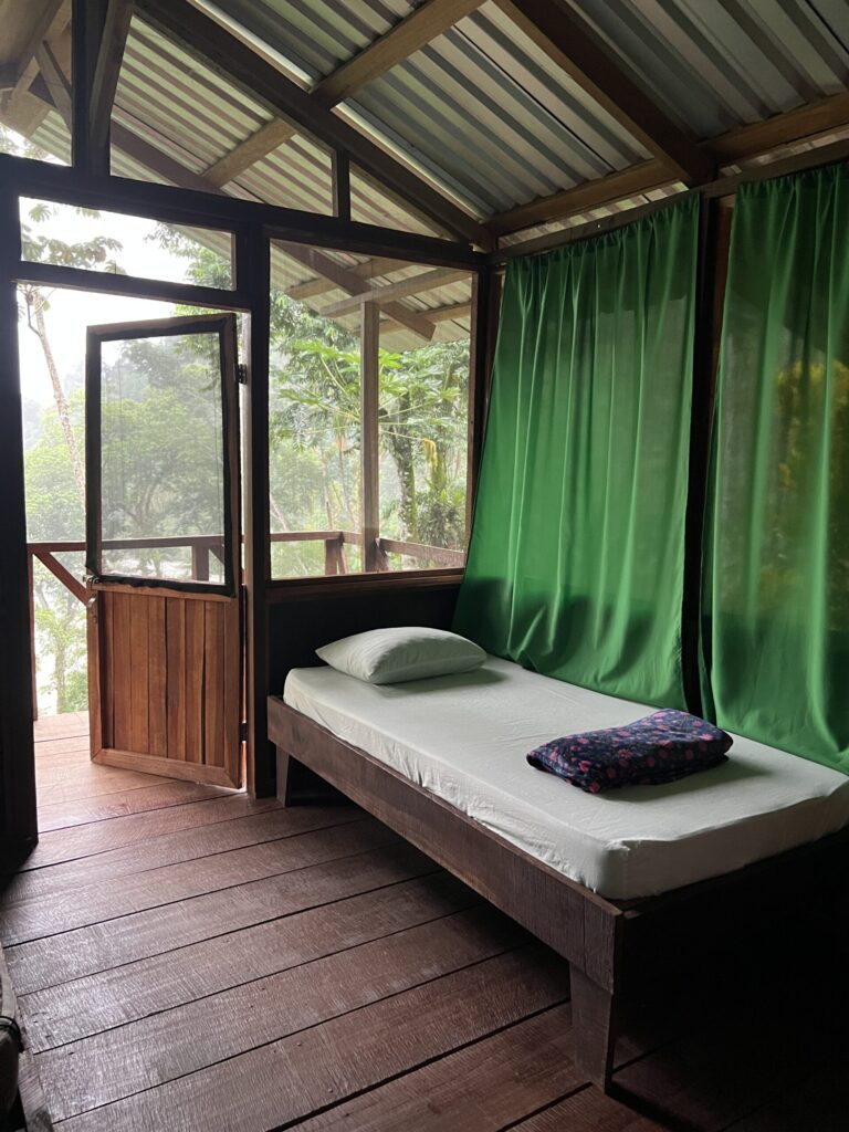 A simple wooden lodge room with a made-up single bed, green curtains and an open door onto misty rainforest